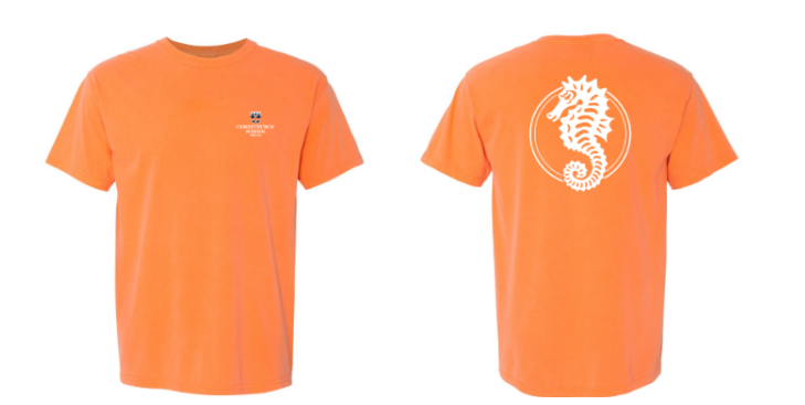 Comfort Colors Christchurch Seahorse Tee Navy and Orange