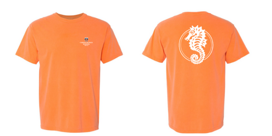 Comfort Colors® Heavyweight Ring Spun Tee available in Melon and Denim